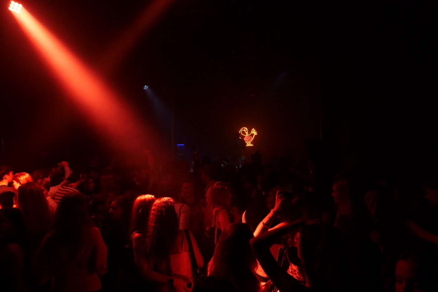 Sankofa Nights